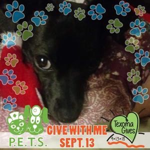 Meet your Posher, Regina